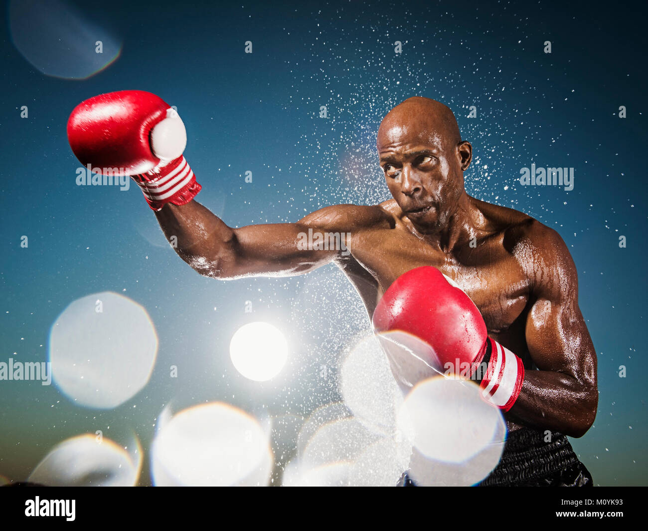 Water splashing on black boxer outdoors Stock Photo