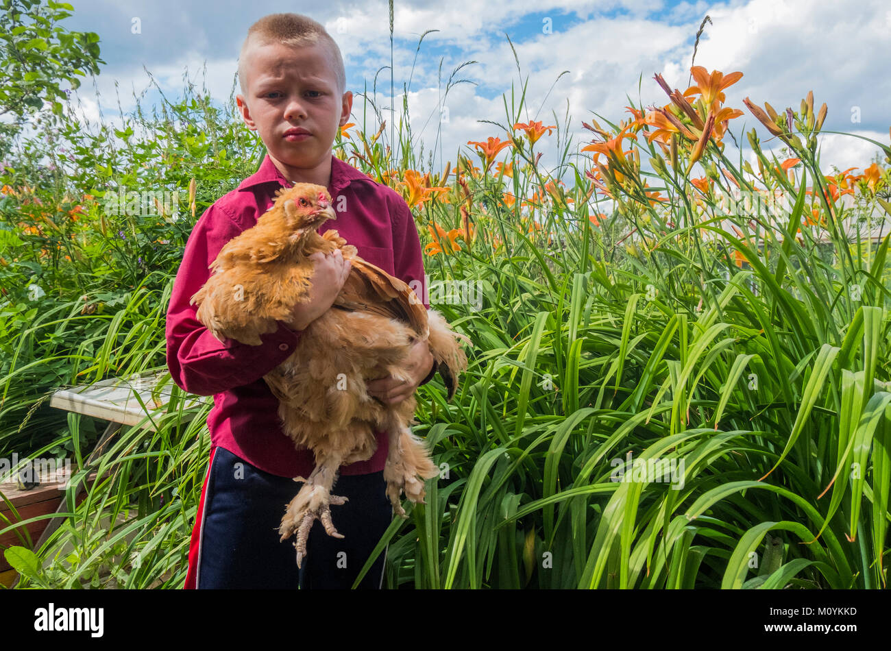 Caucasian boy holding chicken on farm Stock Photo