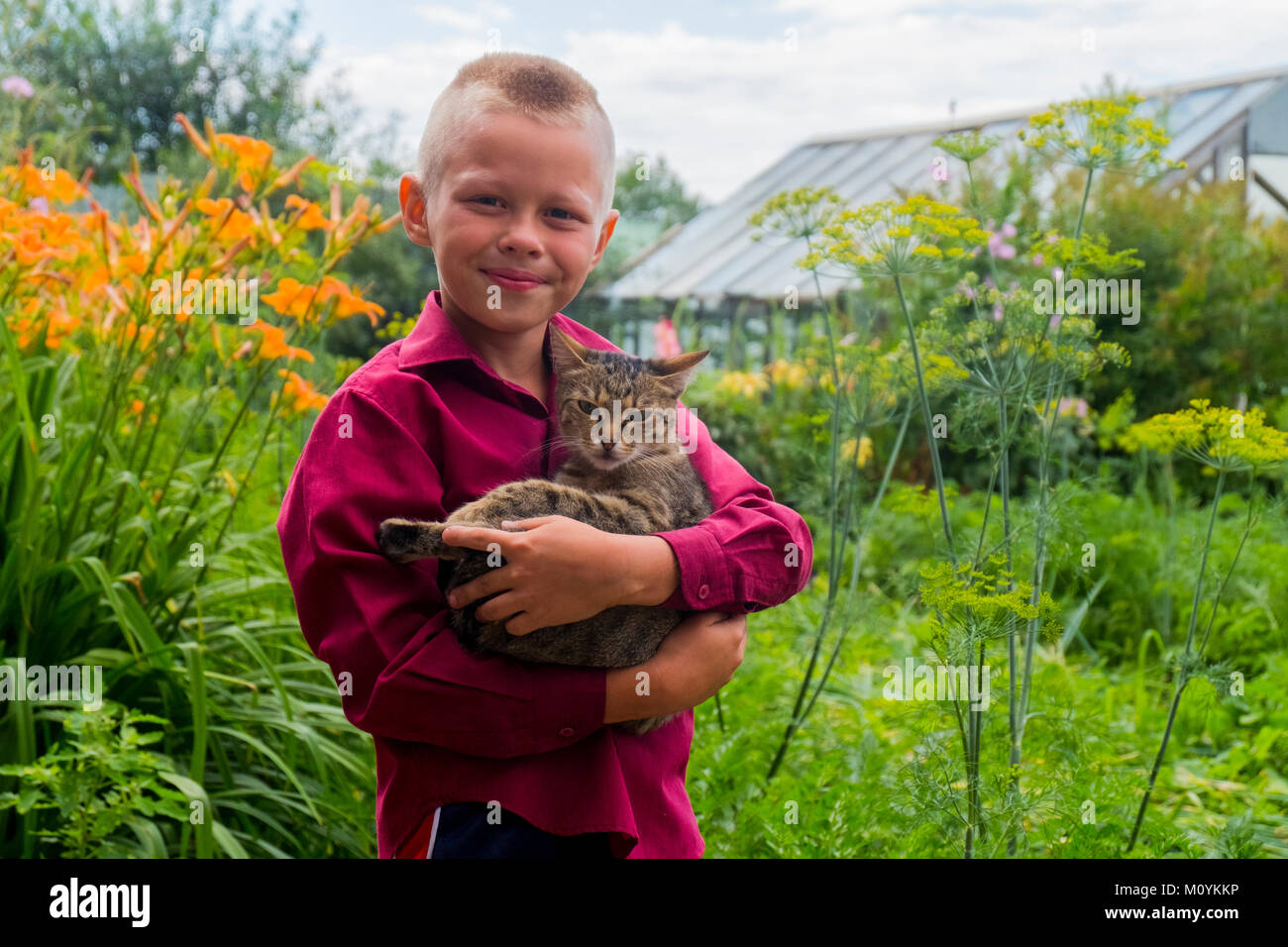 Caucasian boy holding cat on farm Stock Photo