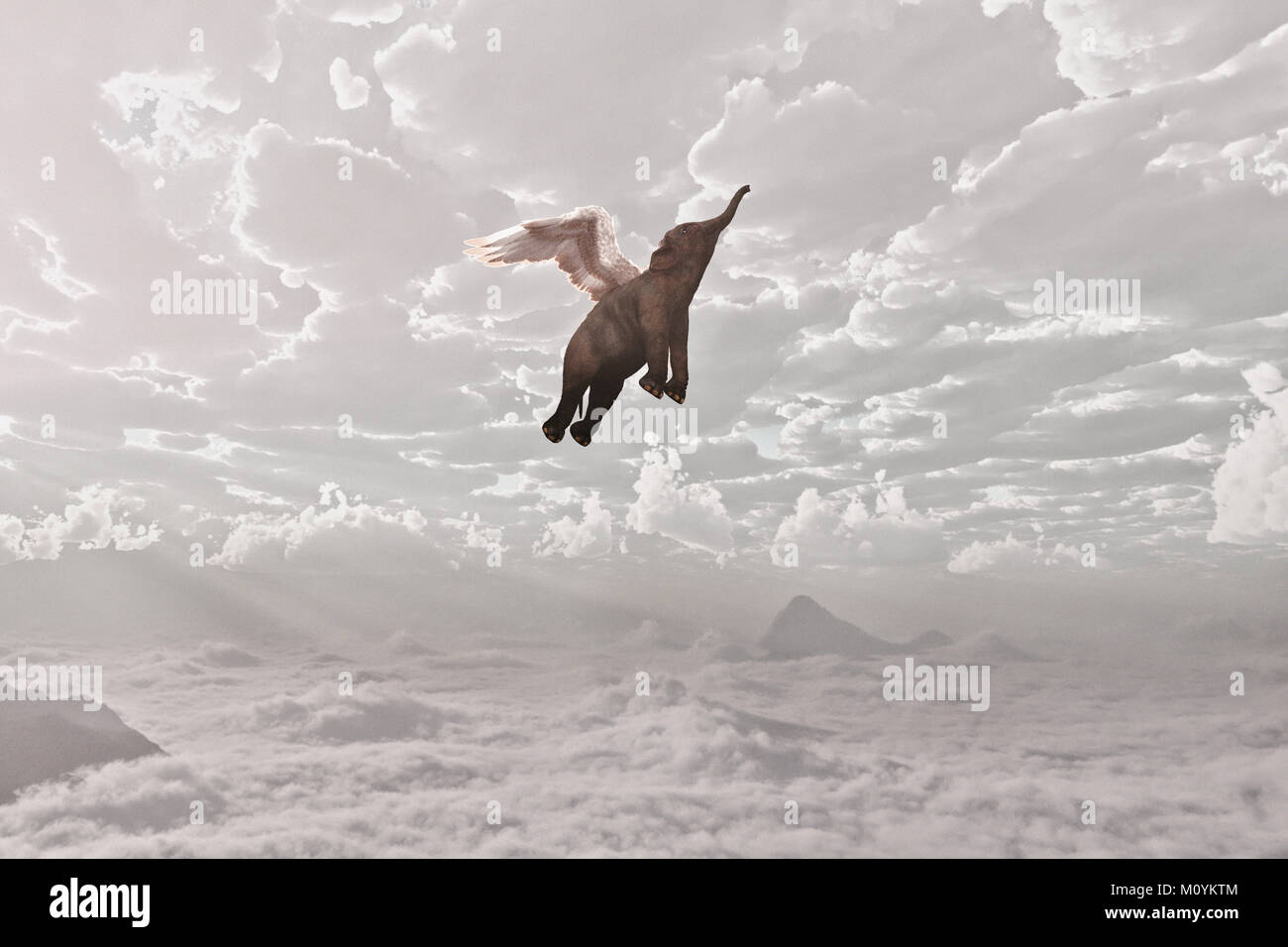 Elephant flying in clouds Stock Photo