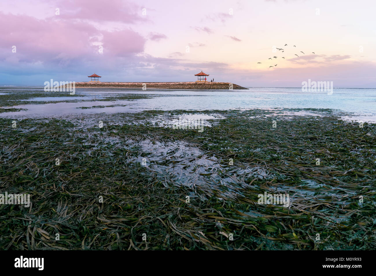 Gazebo in the middle on sea in low tide during sunset or sunrise with bird flying in the sky Stock Photo