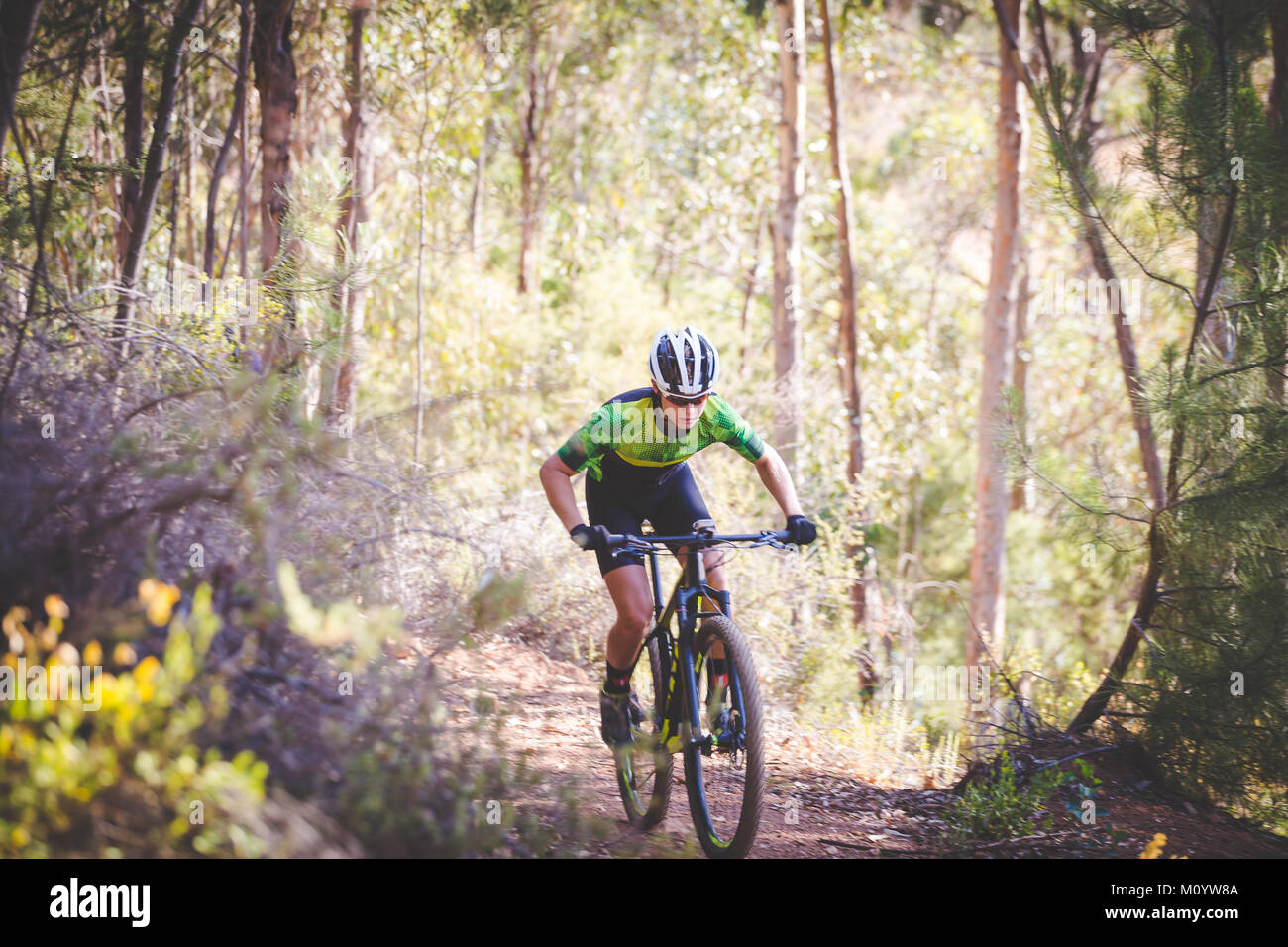 downhill on a bicycle