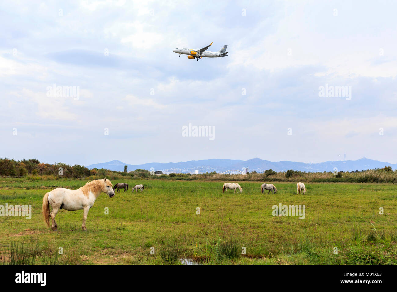 El prat airport plane hires stock photography and images Alamy