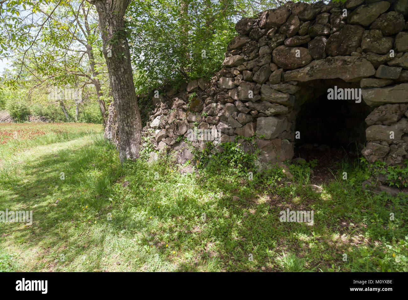 Parc de Pedra Tosca,Park Pumice stone,project by RCR Arquitectes,volcanic area La Garrotxa.Les Preses,Catalonia,Spain. Stock Photo