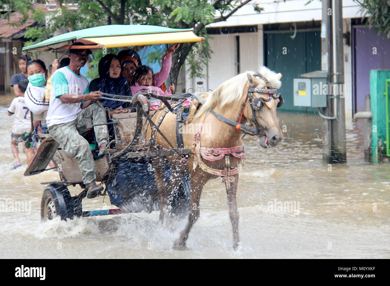 Delman, a means of transportation, through the floods in Baleendah, Kabupaten Bandung, West Java, Indonesia. Stock Photo