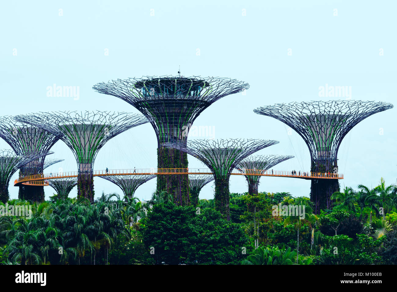 Super trees Gardens by the bay Singapore Stock Photo Alamy