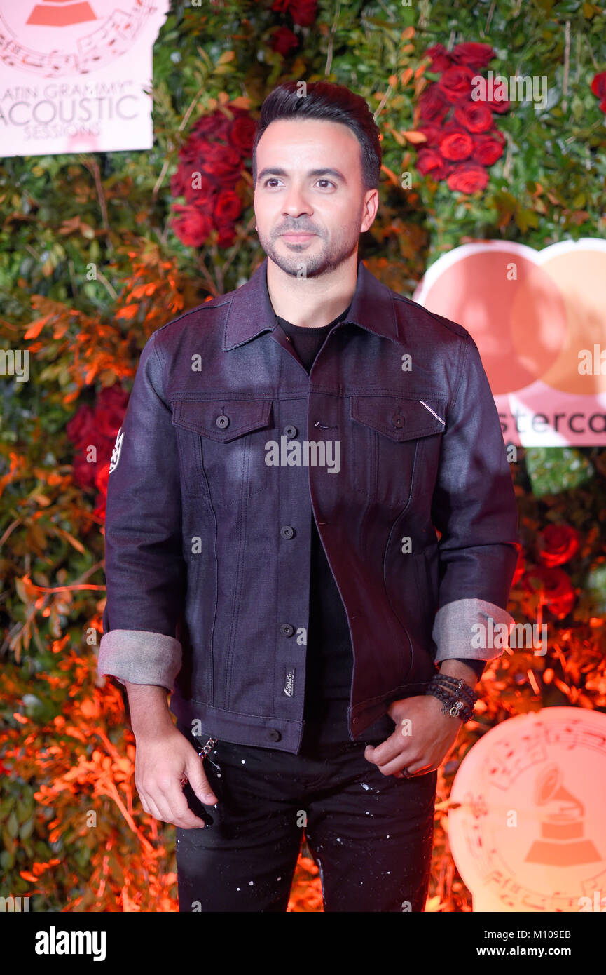 Mexico City, Mexico. 24th January, 2018.  Puerto Rico´s singer Luis Fonsi poses for photographers during the red carpet of the Latin Grammy Acoustic Session in Mexico City. Photo: Alejandra Gonzalez Credit: Alejandra Gonzalez/Alamy Live News Stock Photo
