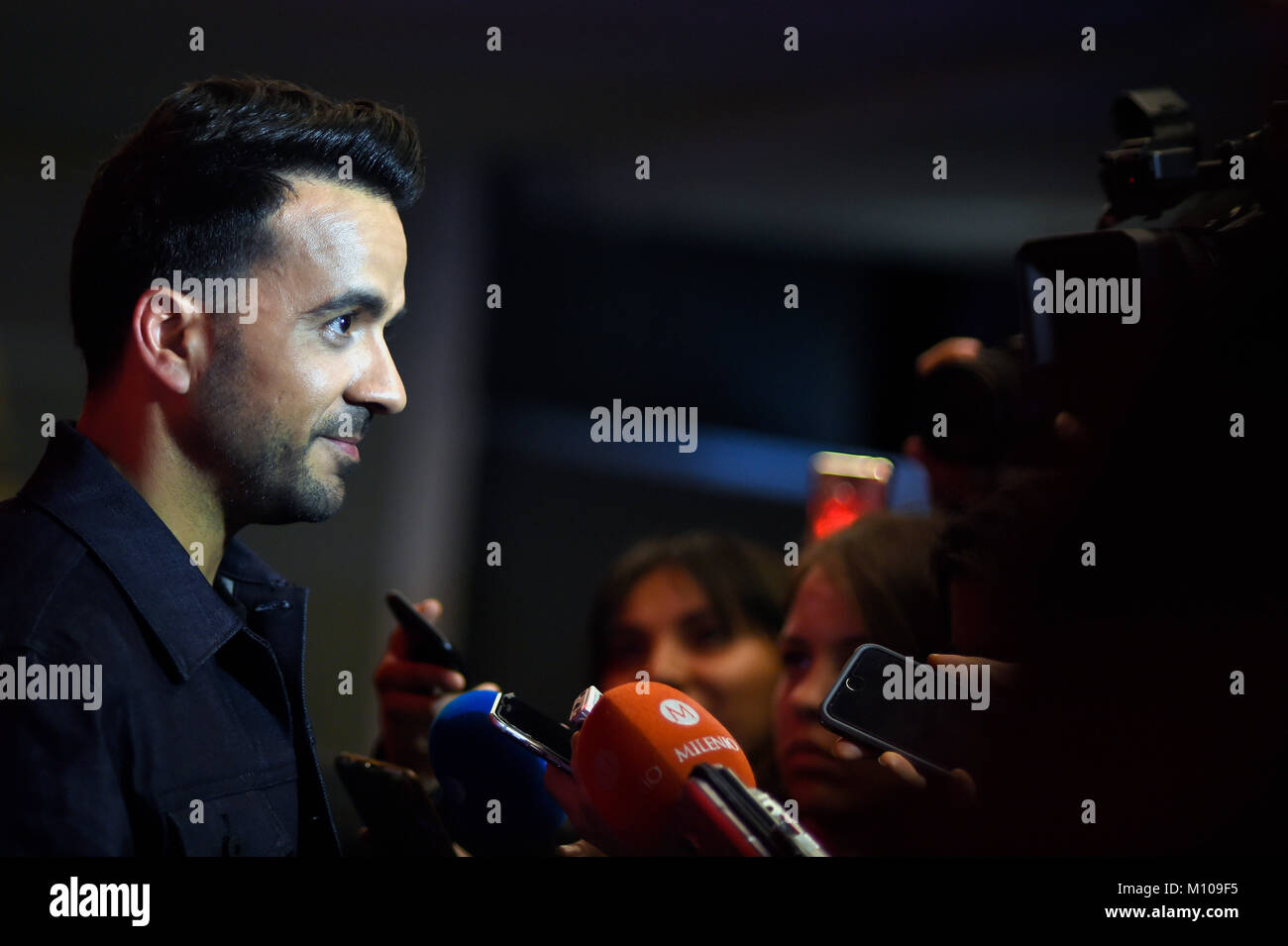Mexico City, Mexico. 24th January, 2018.  Puerto Rico´s singer Luis Fonsi answer a questions during the red carpet of the Latin Grammy Acoustic Session in Mexico City. Photo: Alejandra Gonzalez Credit: Alejandra Gonzalez/Alamy Live News Stock Photo