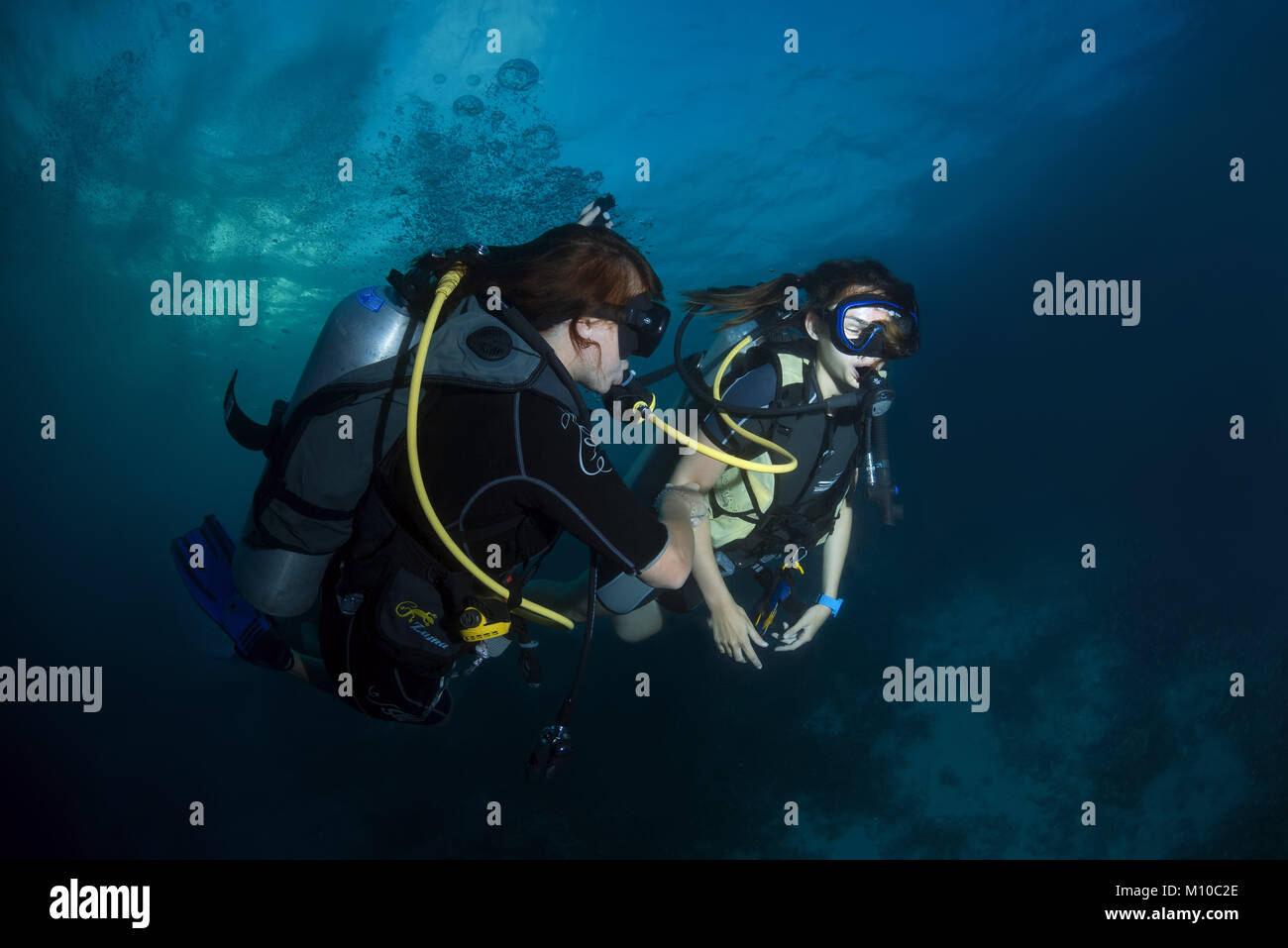Indian Ocean, Maldives. 31st Aug, 2017. One female scuba diver leads another to the octopus Credit: Andrey Nekrasov/ZUMA Wire/ZUMAPRESS.com/Alamy Live News Stock Photo