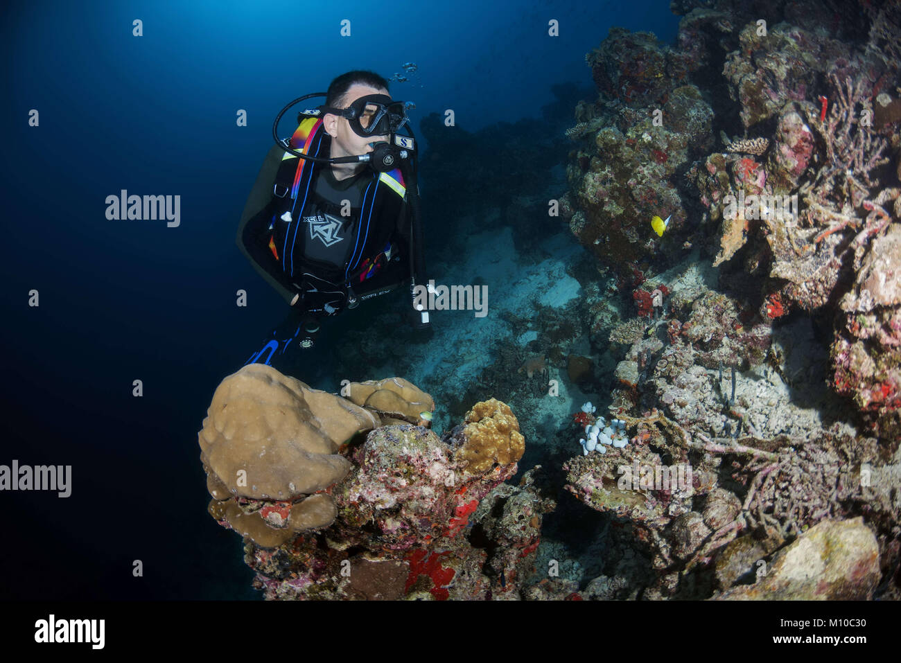 Indian Ocean, Maldives. 31st Aug, 2017. Male scuba diver swim near coral reef Credit: Andrey Nekrasov/ZUMA Wire/ZUMAPRESS.com/Alamy Live News Stock Photo