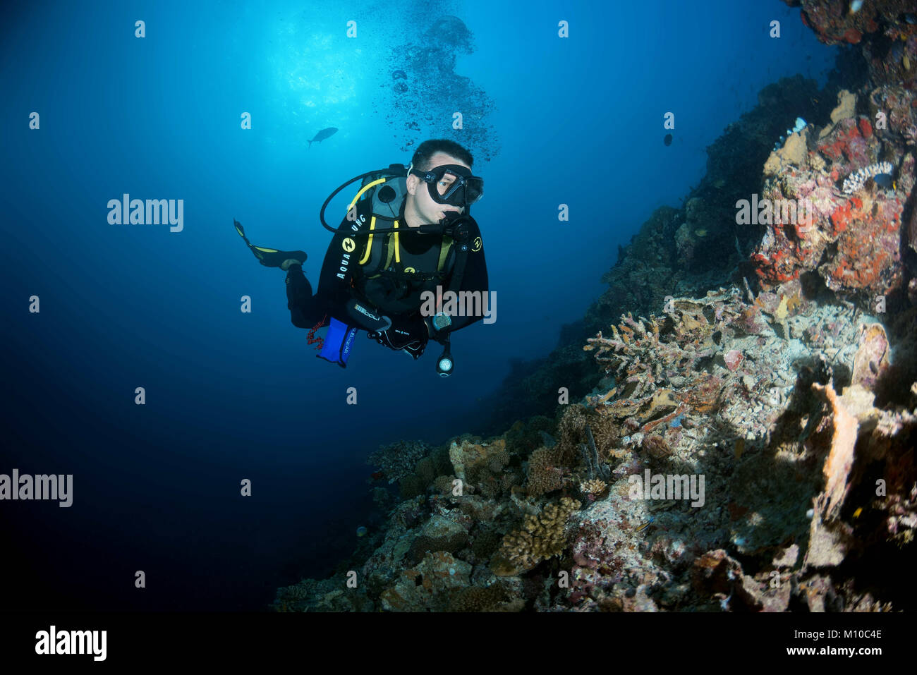 Indian Ocean, Maldives. 31st Aug, 2017. Male scuba diver swim near coral reef Credit: Andrey Nekrasov/ZUMA Wire/ZUMAPRESS.com/Alamy Live News Stock Photo