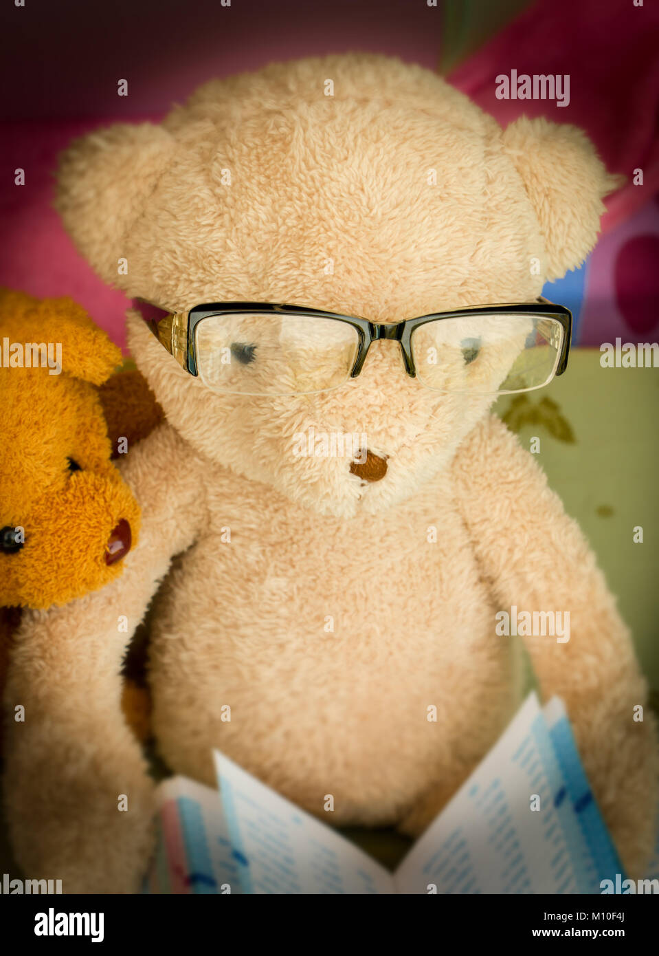 Teddy Bear Reading A Book Means Education Stock Photo Alamy
