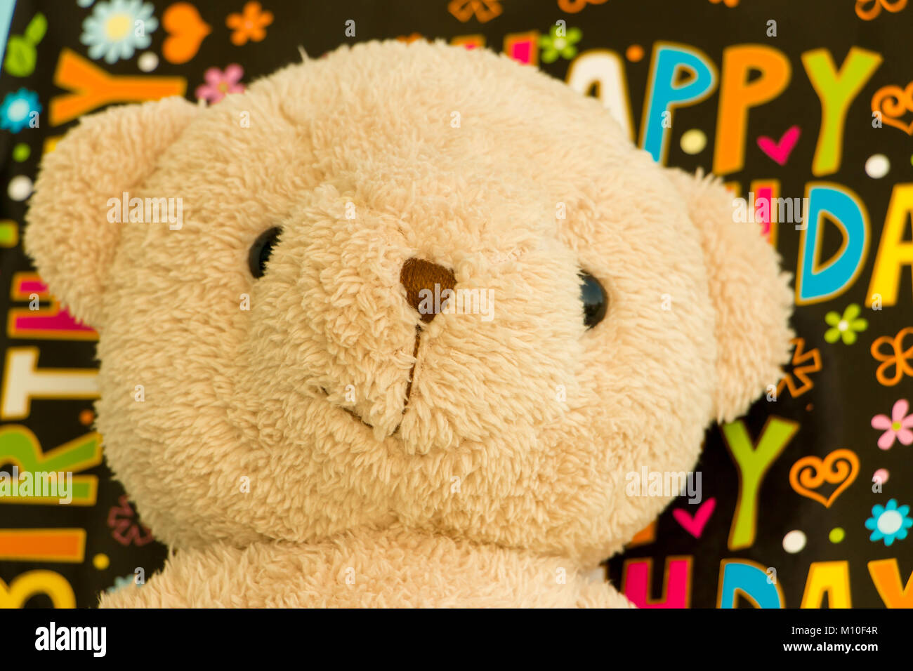 Teddy Bear On His Birthday Enjoying It Stock Photo - Alamy