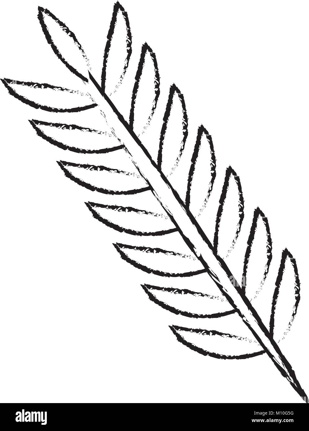 spring branch with leaves natural Stock Vector Image & Art - Alamy