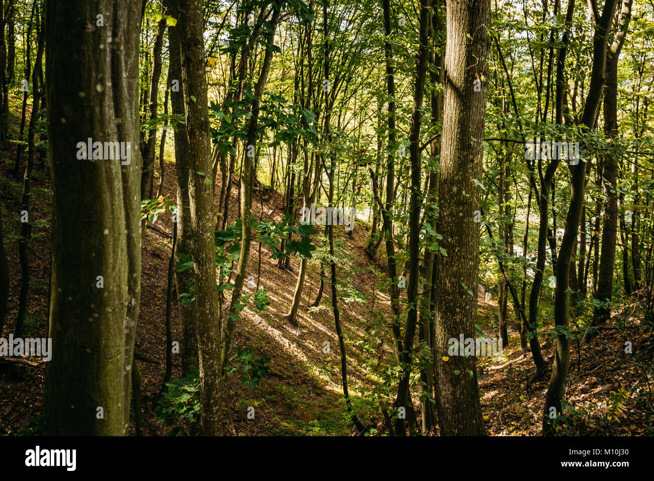 Yurovichi, Belarus. Upper Period Of The Paleolithic - 26 Thousand Years Ago, Which Occupying Terraced Slope Of Left Bank Of Pripyat River. Stock Photo