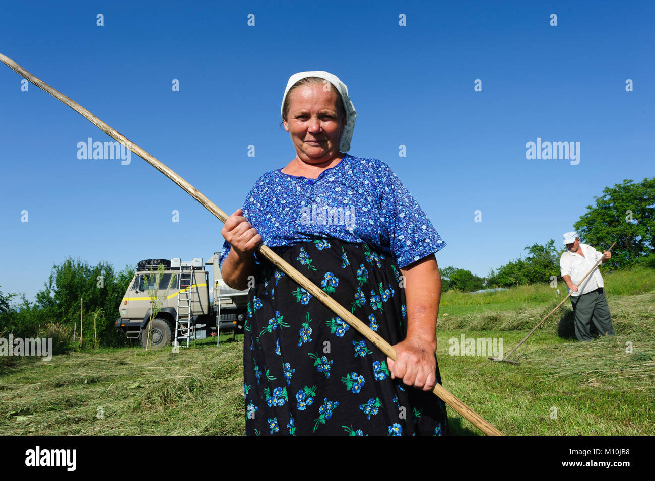 Romania, Maramures County, Village of Breb.Collecting the hay. in summer. Stock Photo