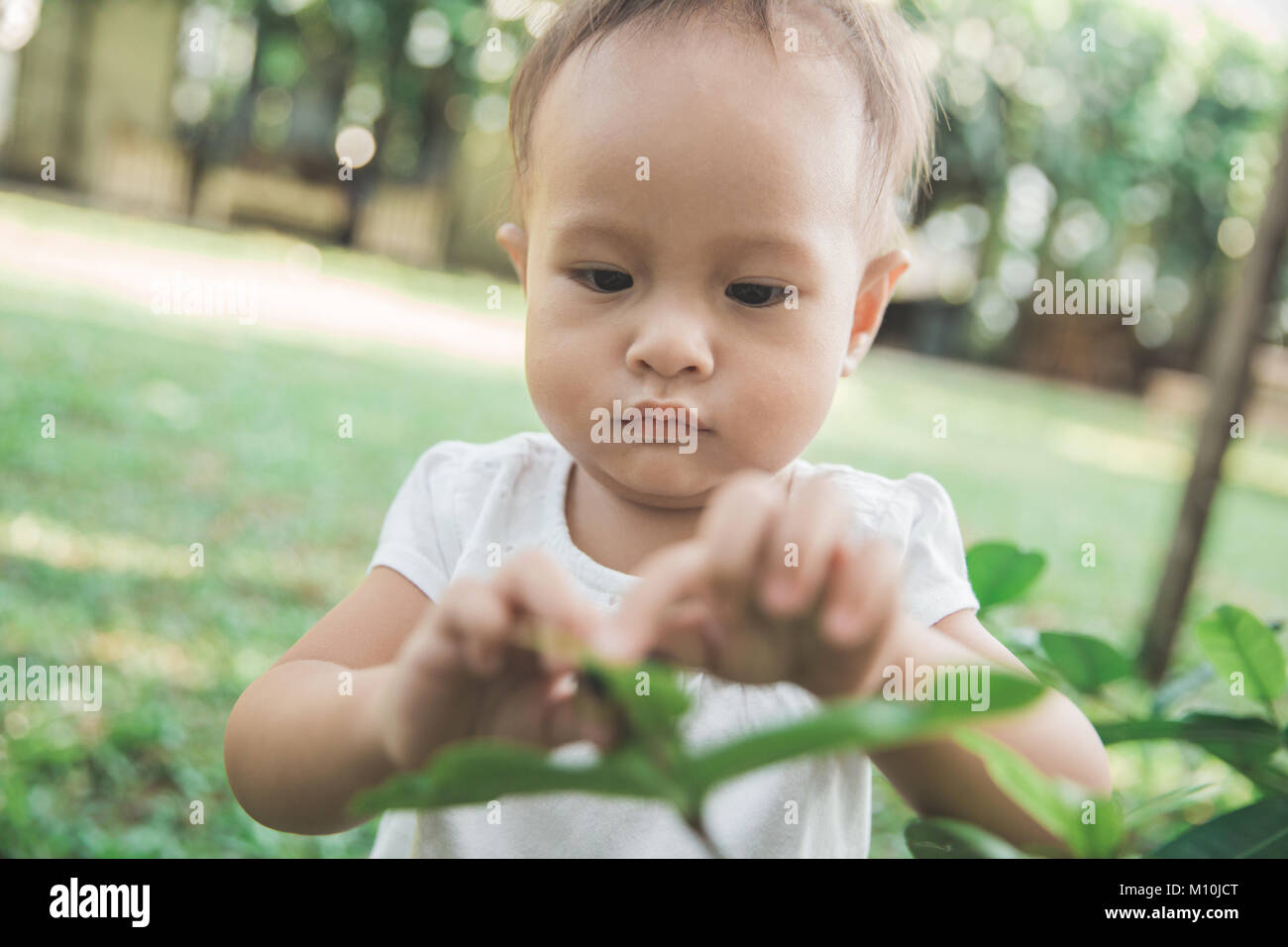 portrait of toddler picking up a flower from a plant in the garden ...