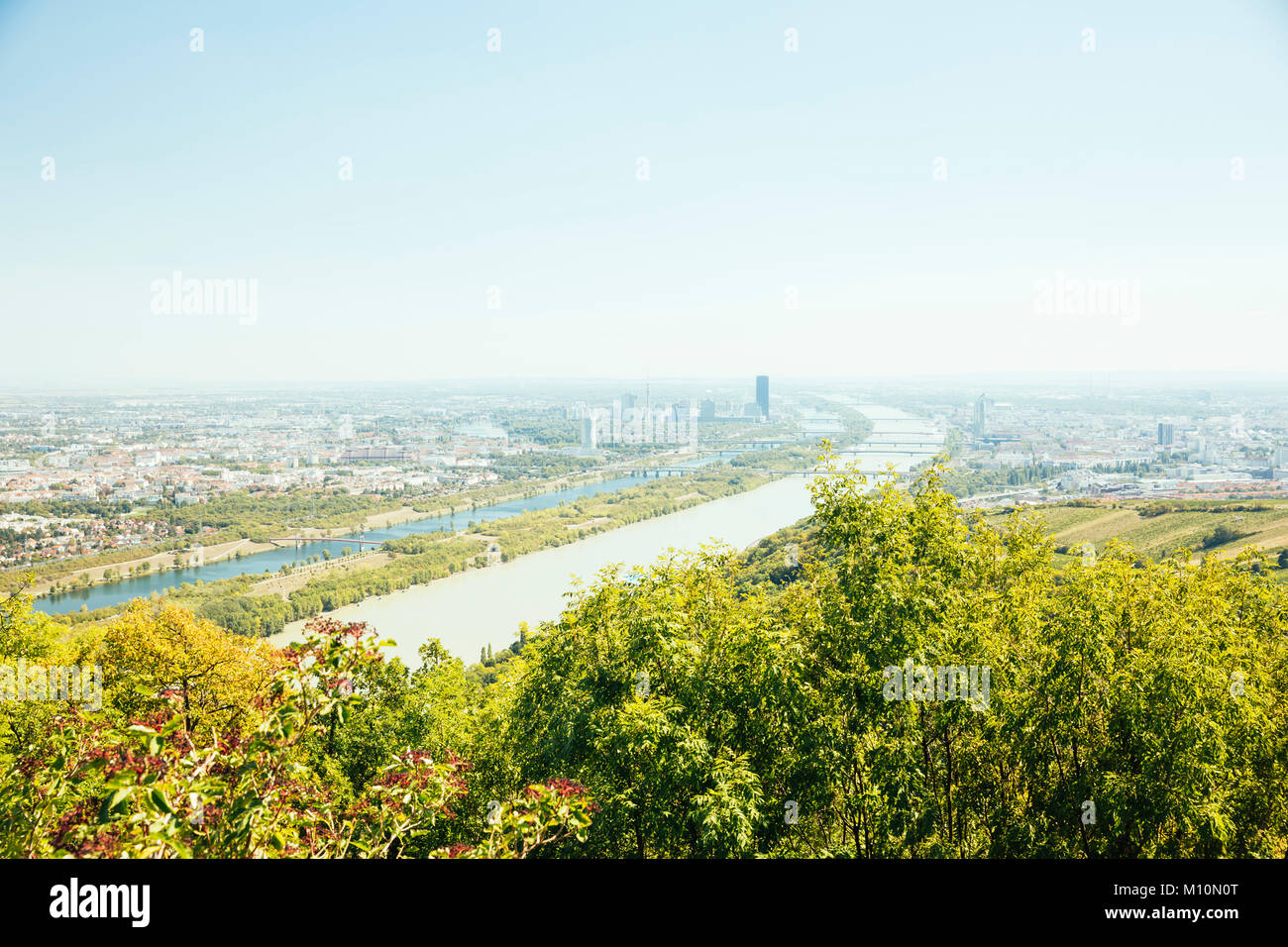 Blick auf Wien und Donau vom Leopoldsberg, Wien, Österreich Stock Photo