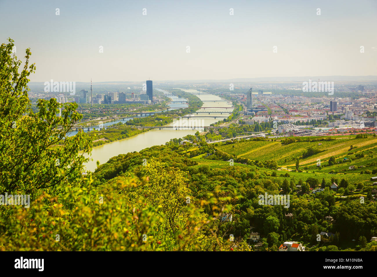 Blick auf Wien und Donau vom Leopoldsberg, Wien, Österreich Stock Photo