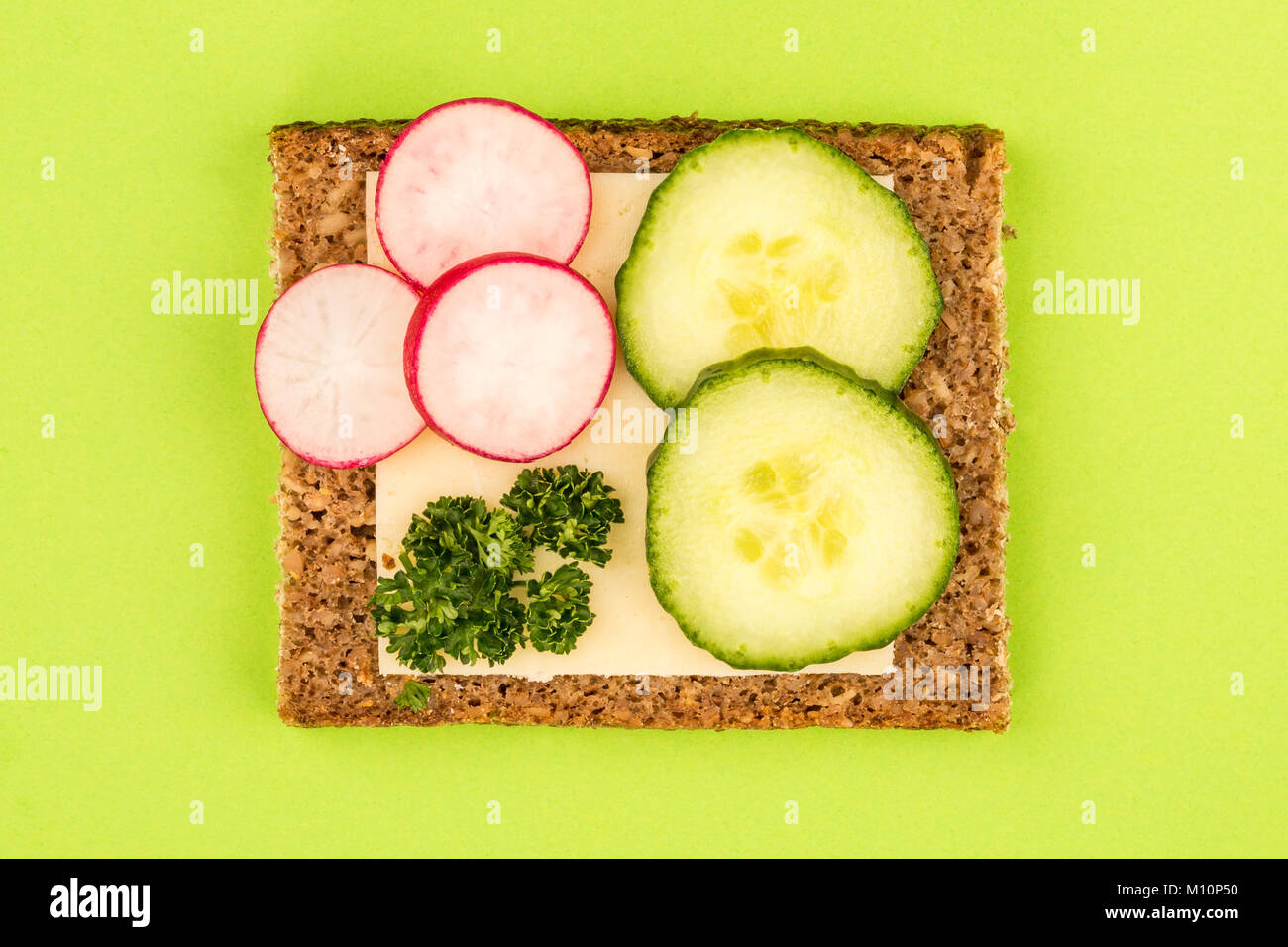 Cheese and Cucumber Open Face Rye Bread Sandwich With Radishes Against A Green Background Stock Photo