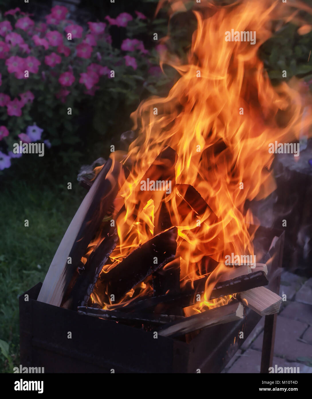 Bright fire in grill at evening summer garden Stock Photo
