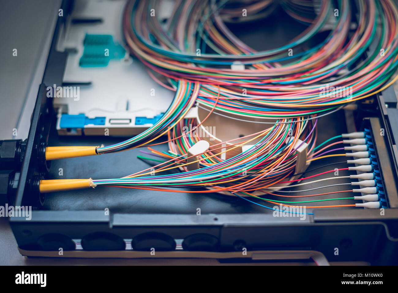 Fibre optic cables on top of patch distribution panel shelf for enterprise networking Stock Photo