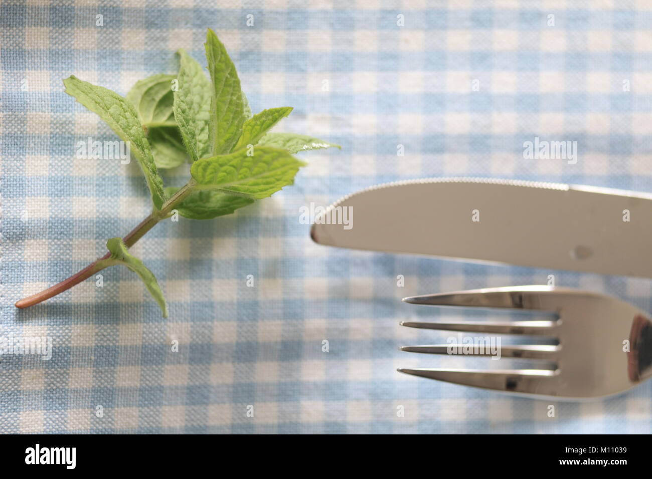 green plant knife fork table  Stock Photo