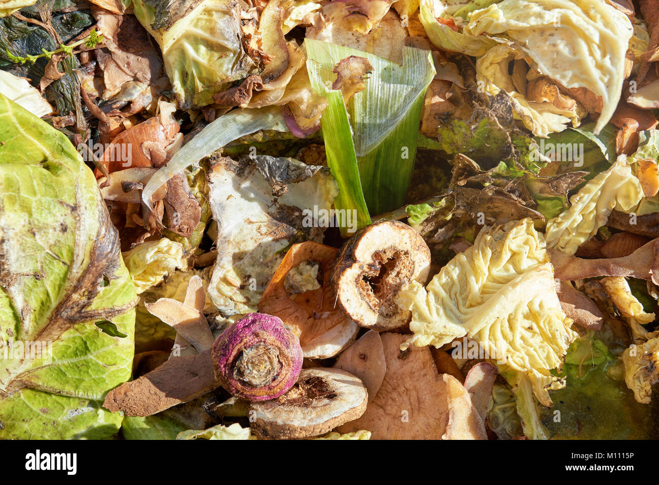 Compost for composted earth. Kitchen and Garden Waste Vegetables