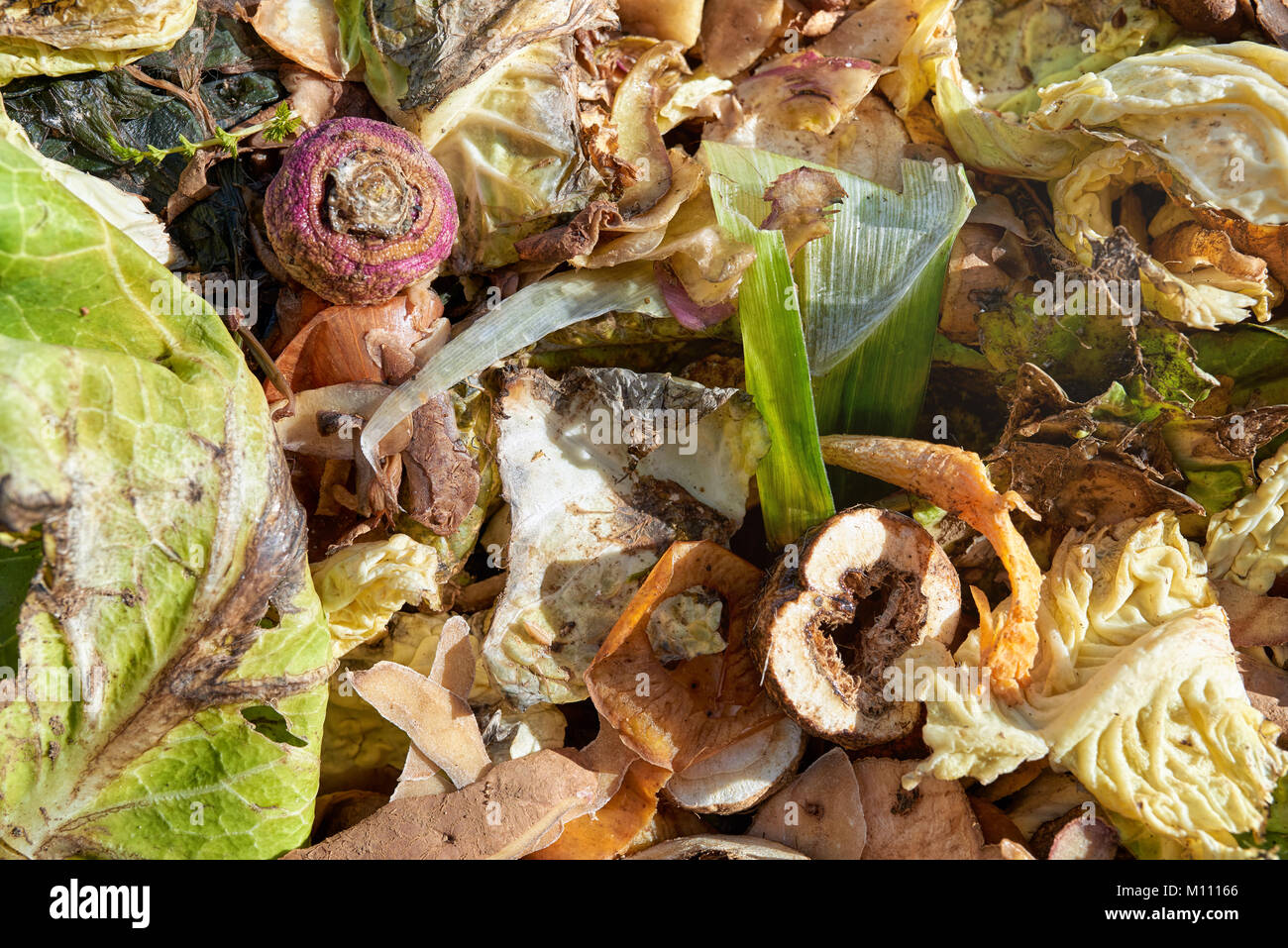 Use kitchen and garden waste hi-res stock photography and images - Alamy