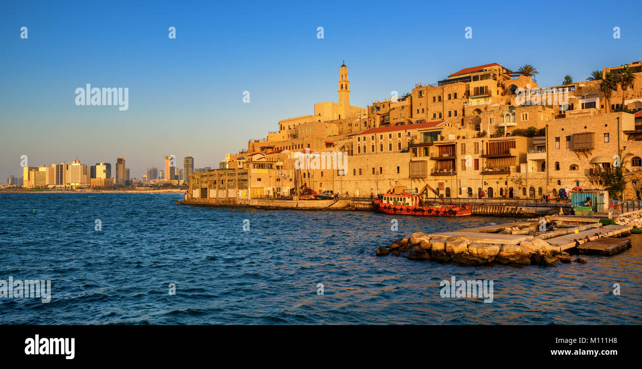 Understanding food forest italia Find Out How I Cured My food forest italia In 2 Days