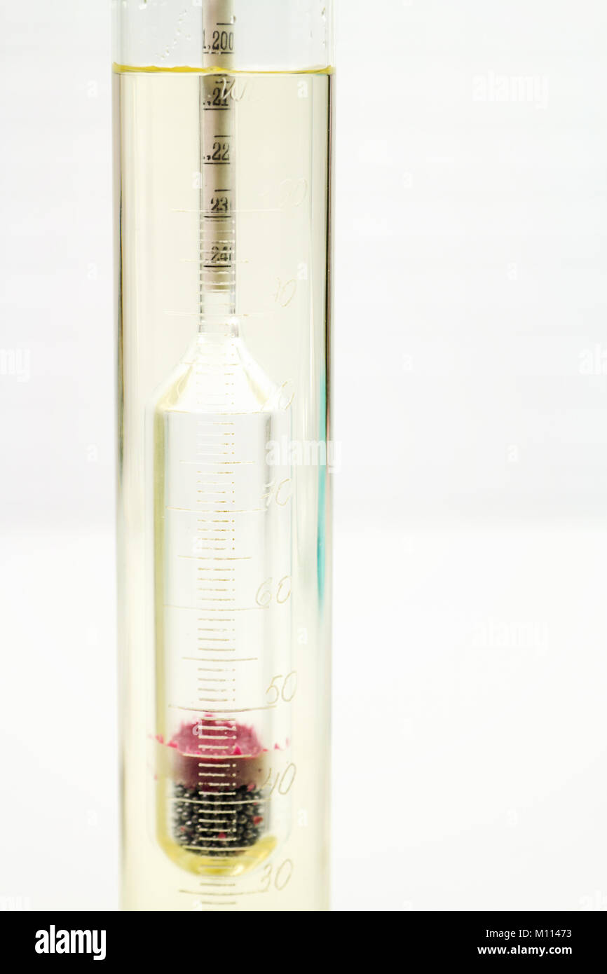 Measurement of the density of the water glycerin solution with a hydrometer, closeup Stock Photo