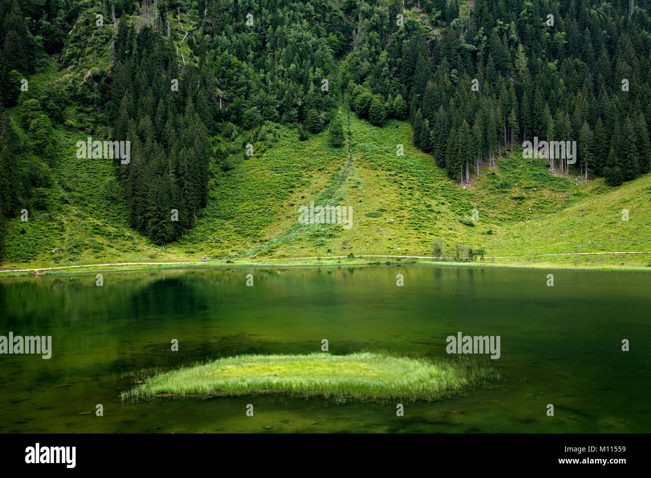 Alpine lake and forest in Austria Stock Photo