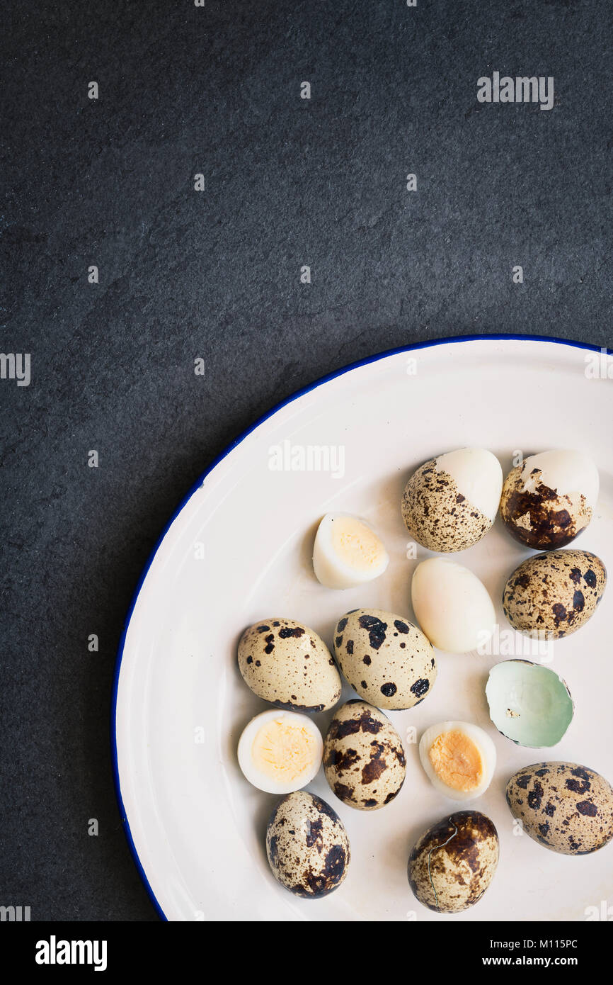 Hard boiled Quail Eggs and shells on an enamel plate on a slate background Stock Photo