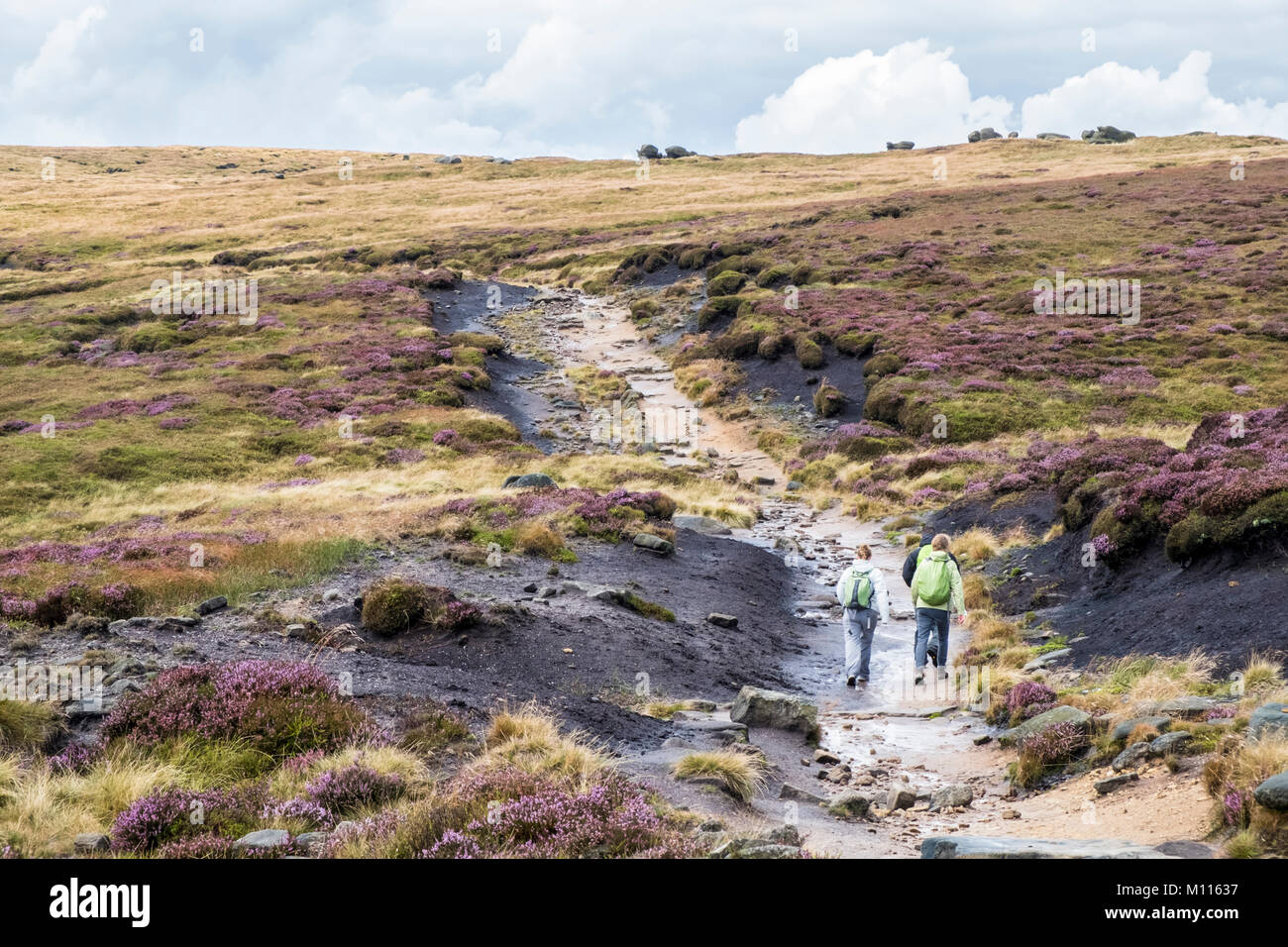 Walkers walking a well worn footpath on moorland on Kinder Scout, Derbyshire, Peak District National Park, England, UK Stock Photo