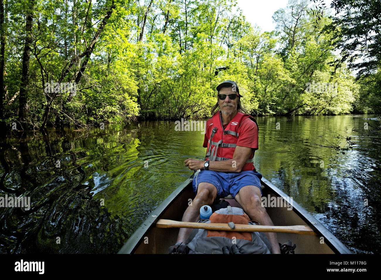 NC01459-00...NORTH CAROLINA - Canoeing through a hardwood forest lined Bennett Creek in Merchant Millpond National Forest. Stock Photo