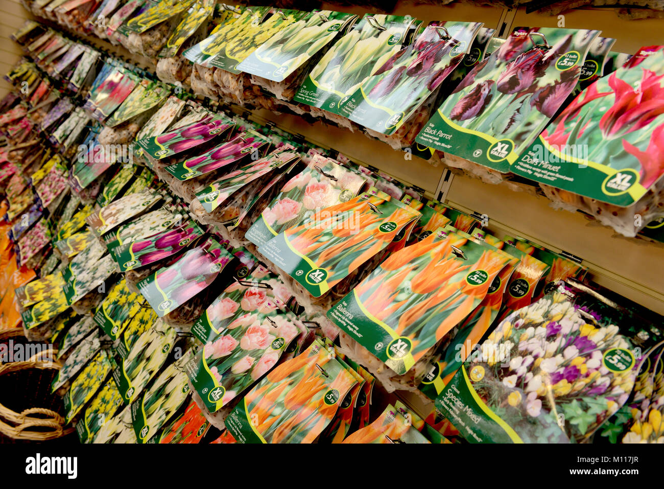 Packets of seeds and bulbs on sale in a garden centre shop. Stock Photo