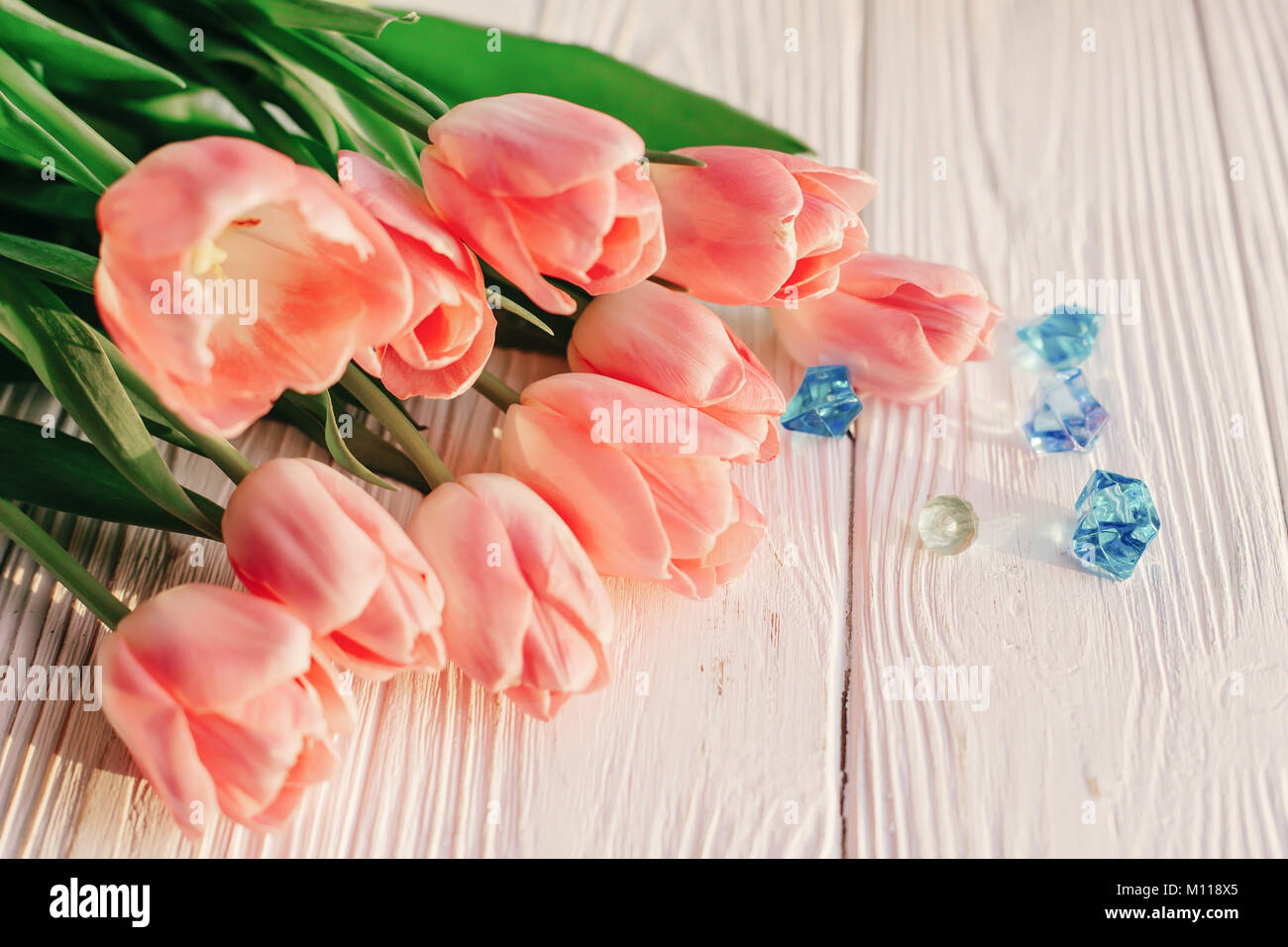 Tack Tender Roses 25 Tack Tender Roses 42