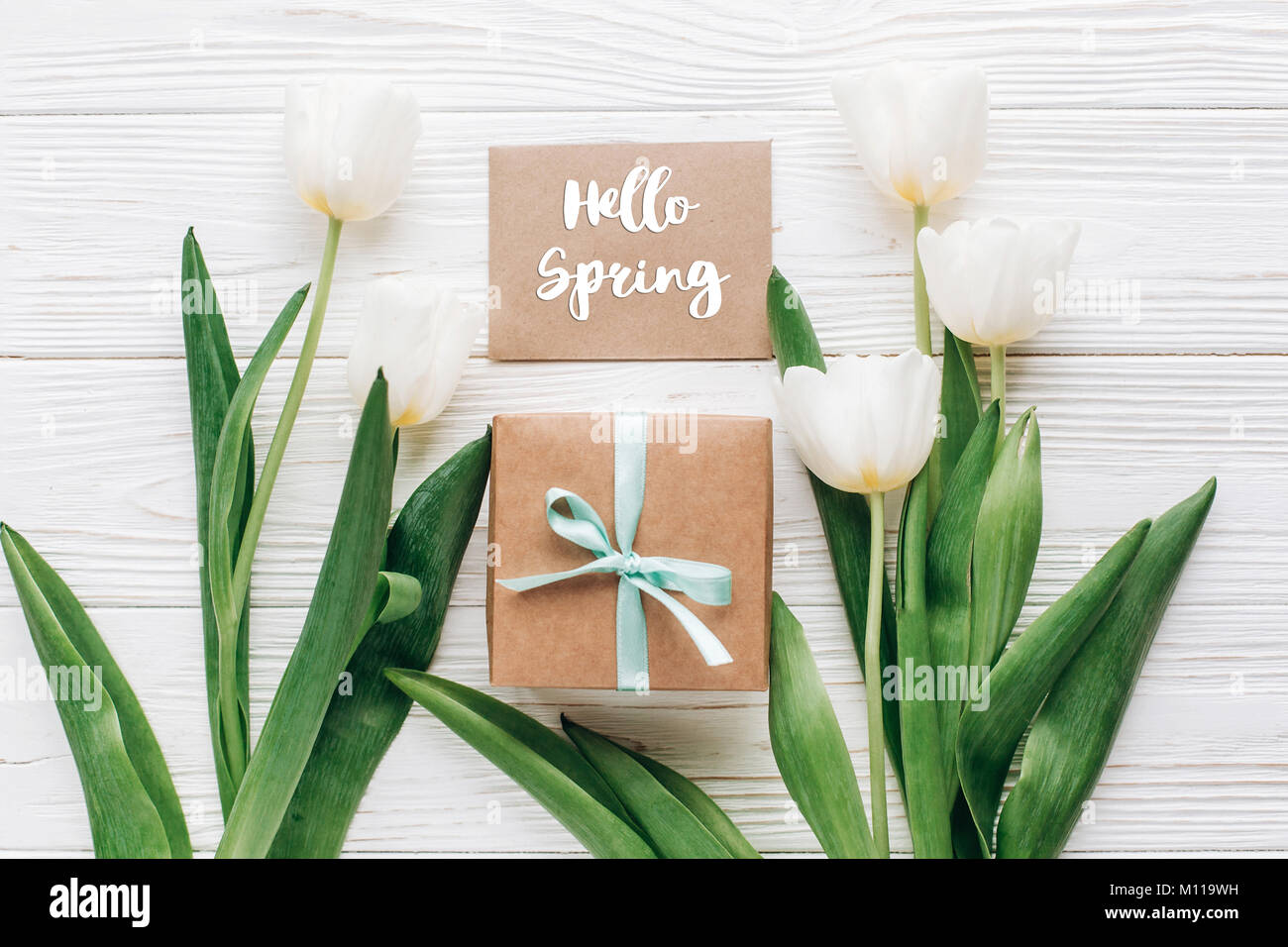 Hello Spring Signature Box hello spring text sign on greeting card with stylish present box and ...