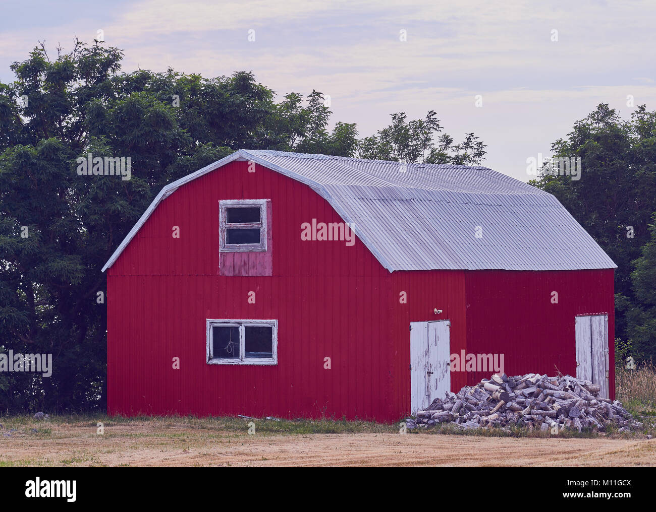 Pile of firewood outside traditional timber purple barn, Nova Scotia