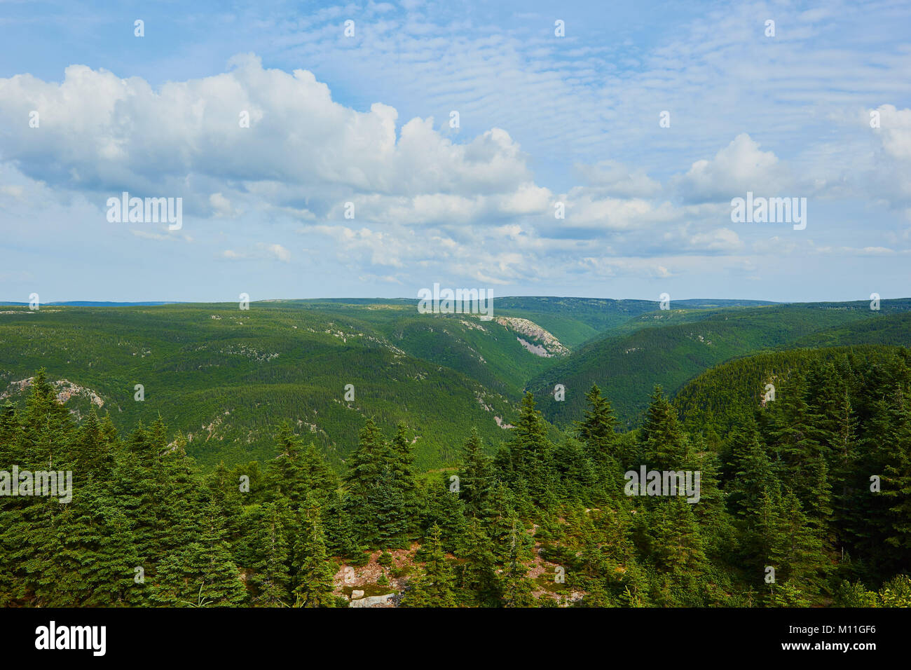 View across forest and mountains in Cape Breton Higlands National Park ...