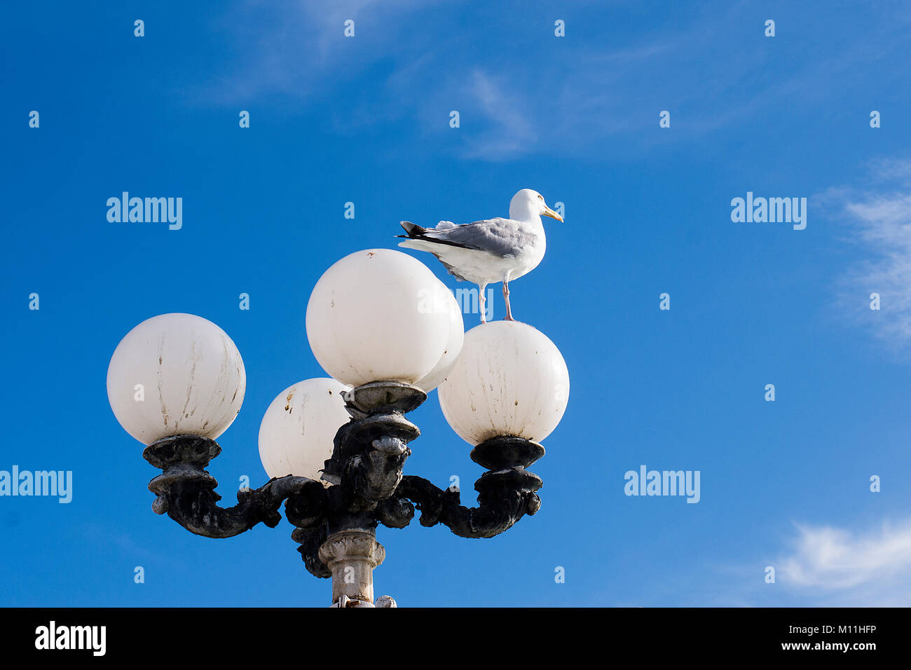 Lights on the pier hi res stock photography and images Alamy
