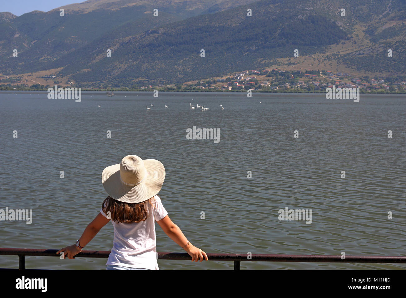 The girl watches the swans on the lake Ioannina Greece Stock Photo