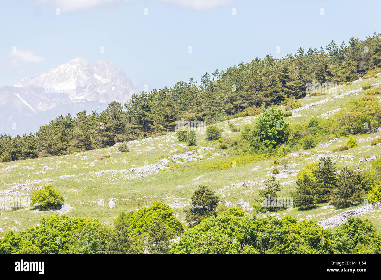 Beautiful landscape of green meadows and mountains. Rocca di Mezzo, province of L'Aquila, Abruzzo, Italy Stock Photo