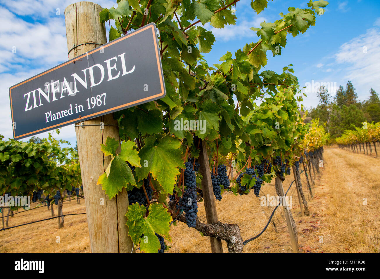 Ashland oregon hires stock photography and images Alamy