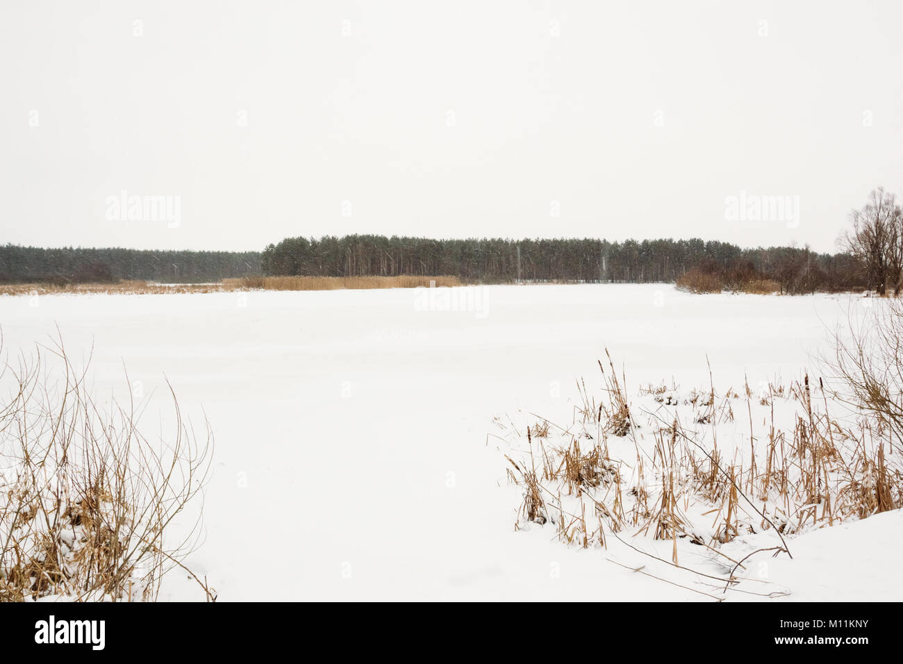 Winter landscape of snowy river during snowfall Stock Photo - Alamy