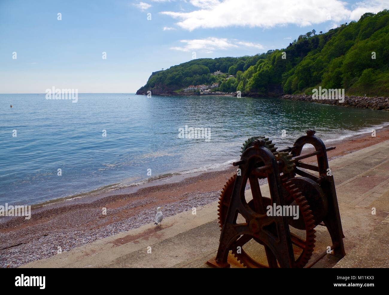 Rusty Old Boat Winch and Lush Forested Cliffs, Oddicombe Beach, Babbacombe, Torquay, South Devon, UK. Stock Photo