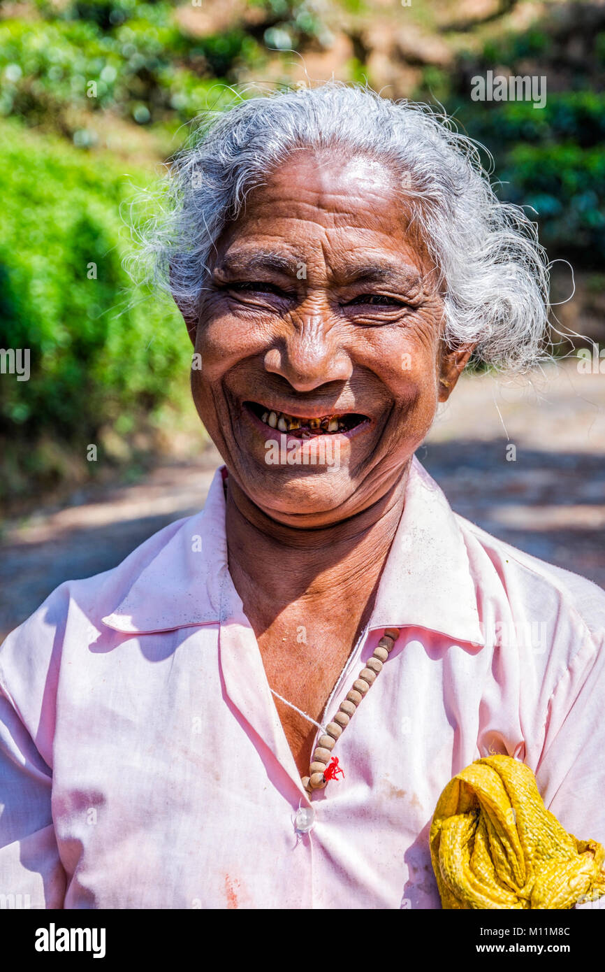 KANDY, SRI LANKA - FEBRUARY 8: Portrait of a lady plucking aka picking tea in the plantation. February 2017 Stock Photo