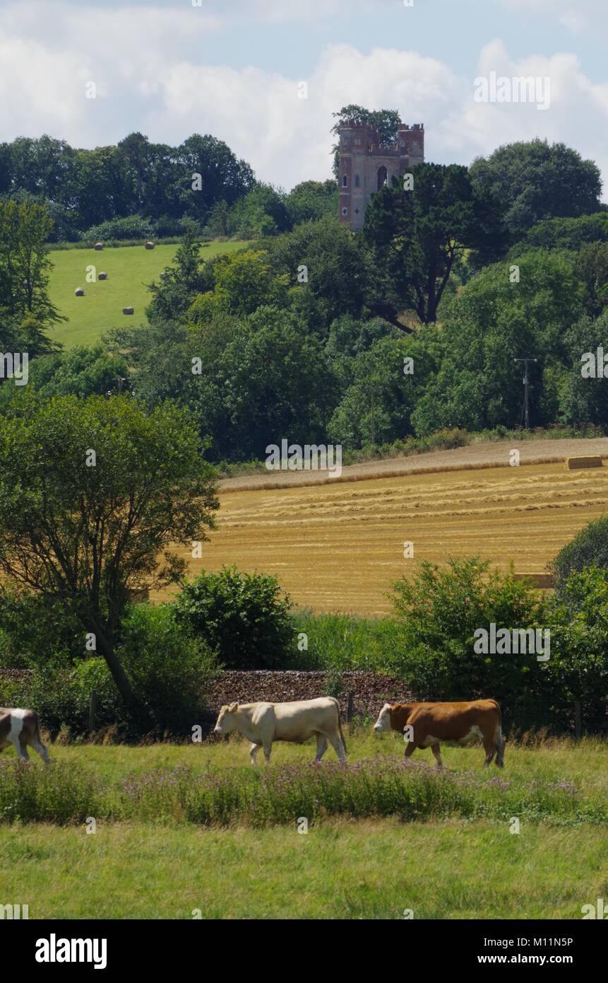 Belvedere Folly Tower and Cattle, Lush Summer Rolling Mixed Farmland