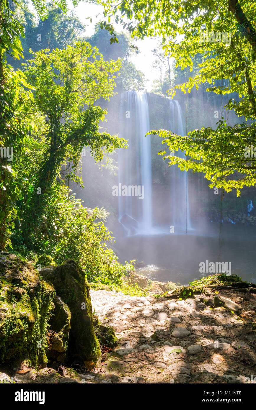 Forest path to Misol Ha waterfall near Palenque in Chiapas, Mexico Stock Photo