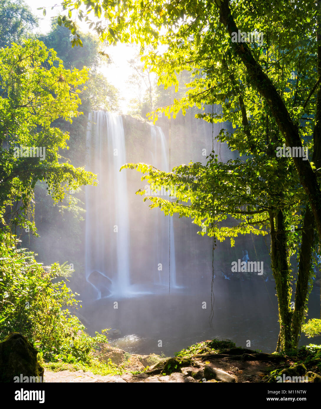 Misol Ha waterfall surrounded by forest near Palenque in Chiapas, Mexico Stock Photo
